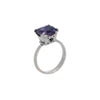 Renaissance Ring with Amethyst